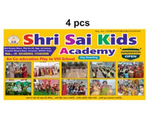 shri sai kids  aceadmy