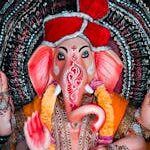 Shri Rolaniya Traders