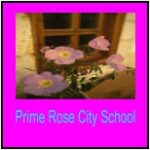 Prime Rose City School