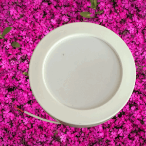 Surface 15W (S.C) (New)