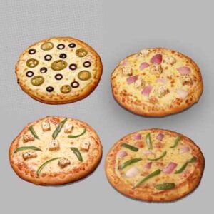 premium veg pack of 4
