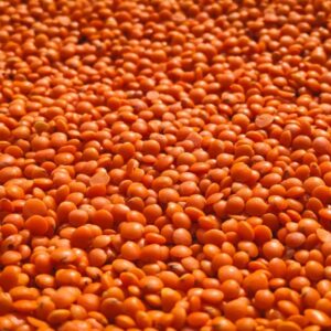 whole Masoor Dal