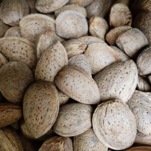 Whole Almonds